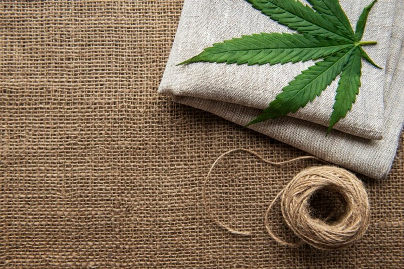 Vải Hemp là gì? Bạn biết gì về chất liệu vải cây gai dầu? 18 Cây gai dầu có phải là cần sa không